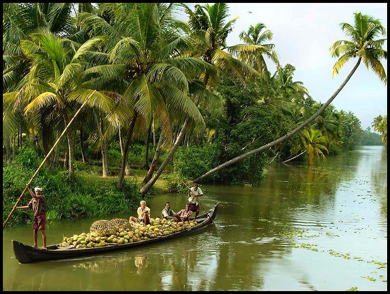 Beauty of  Kerala – God’s own Country