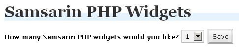 How to add php code to word press blog widget