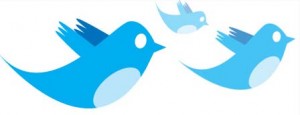 How to increase Twitter Followers
